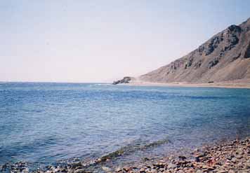 (ダハブの海)